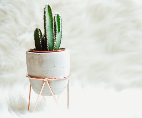 rose gold mini planter. Rose gold decor for the home