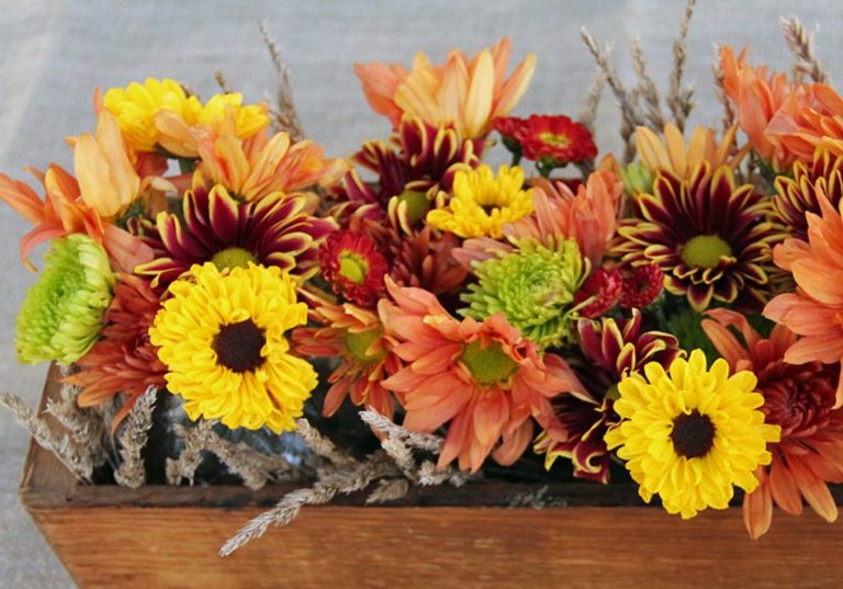 centerpieces full of fall color